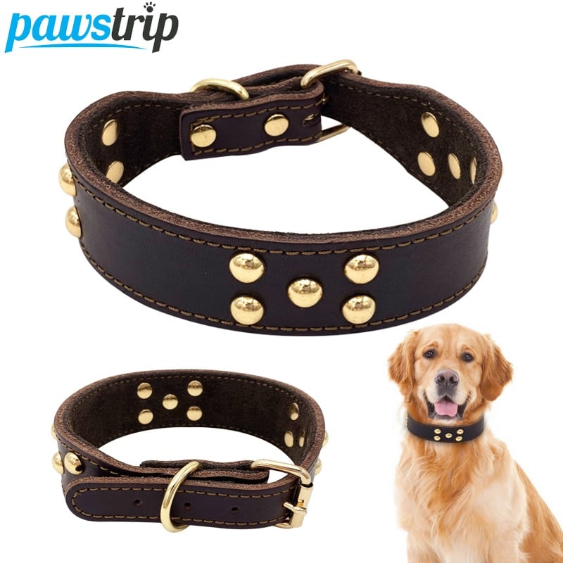 Cowhide Mushroom Nail Dog Collar