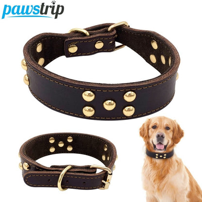 Cowhide Mushroom Nail Dog Collar