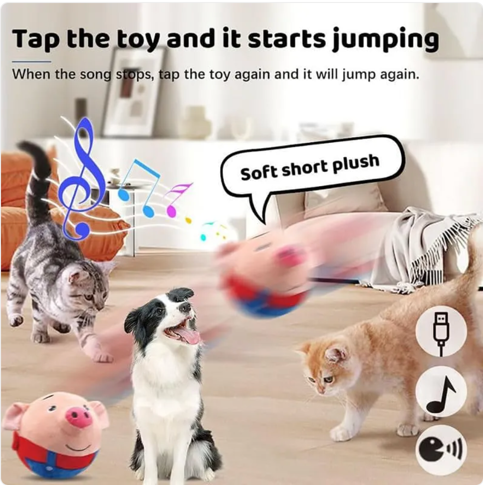 Plush Squeaky Dog Toy