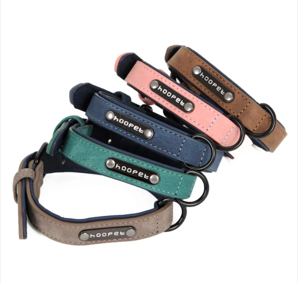 Adjustable Dog Collar