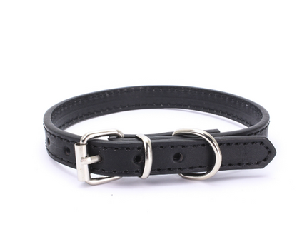 Stylish Dog Collar