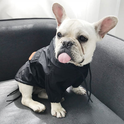 Dog Sun-Protective Coat