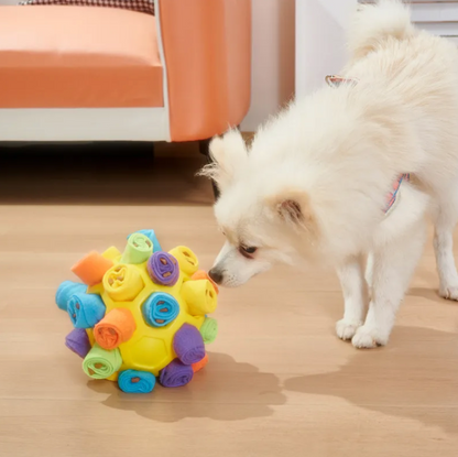 Dog Sniffing Puzzle Ball