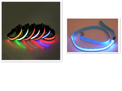 LED Fluorescent Dog Collar