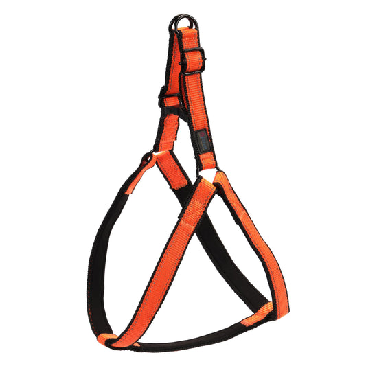 Filbert Dog Reflective Harness - Large Sized Dog