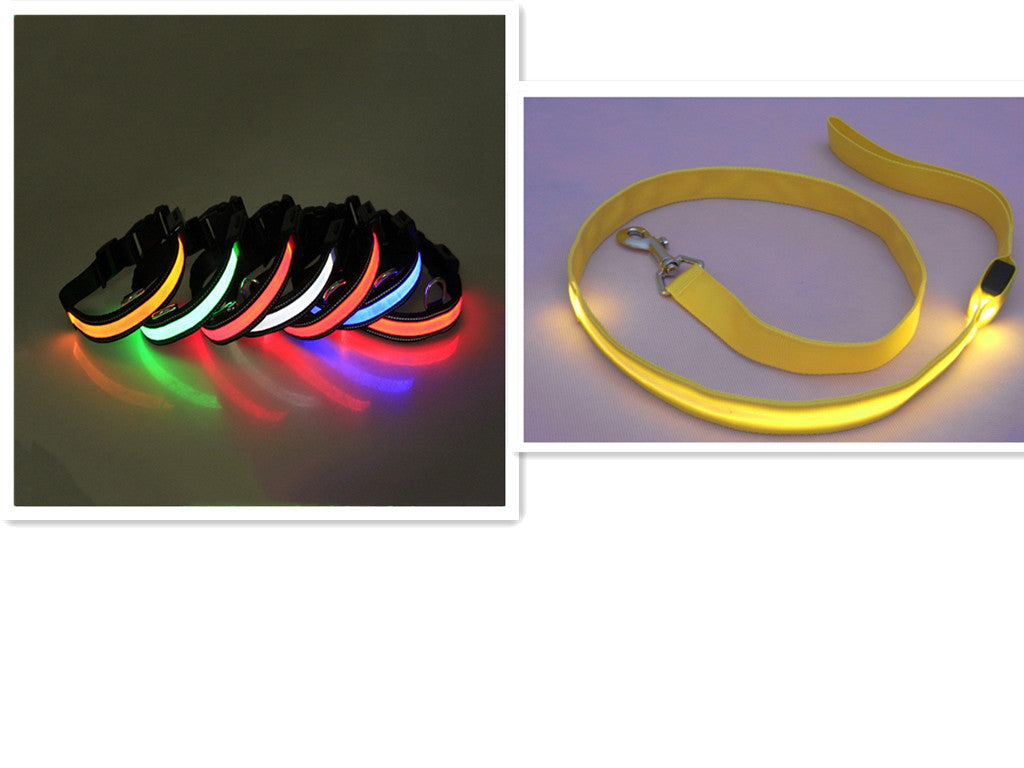LED Fluorescent Dog Collar