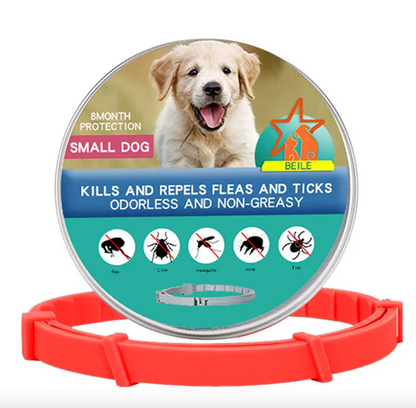 Anti-Flea Dog Collar