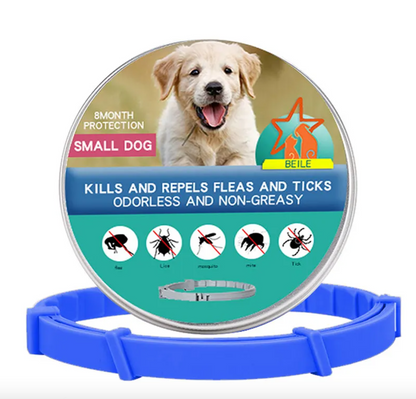 Anti-Flea Dog Collar