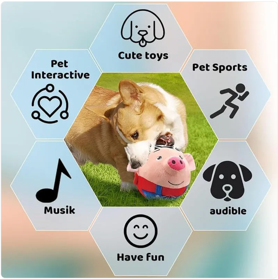 Plush Squeaky Dog Toy