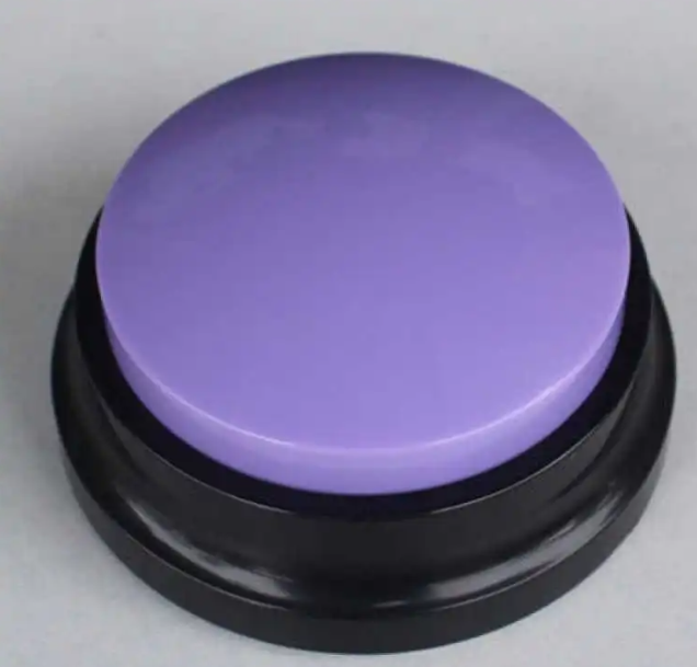 Dog Personalized Sound Button