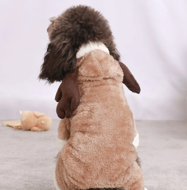 Autumn & Winter Dog Costume