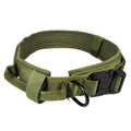 Everyday Dog Collar