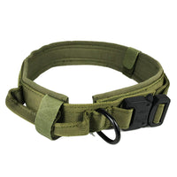 Everyday Dog Collar