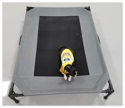 Large Elevated Outdoor Dog Bed