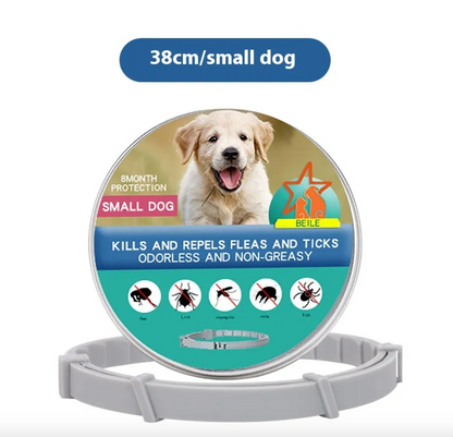 Anti-Flea Dog Collar