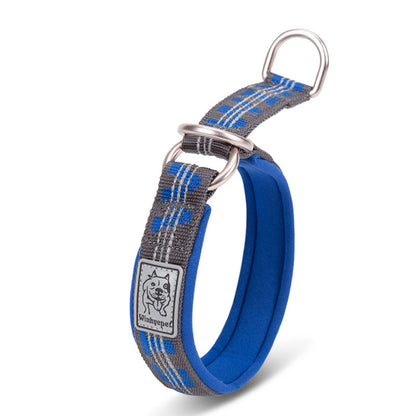 Colorful Dog Collar