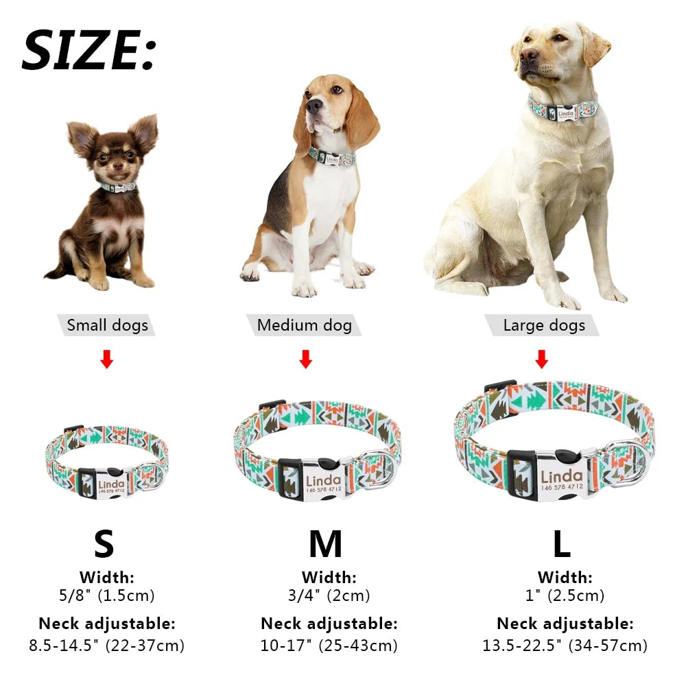 Customizable Dog Collar with Tag