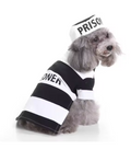 Cute Dog Costume