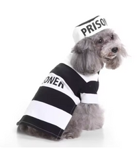 Cute Dog Costume