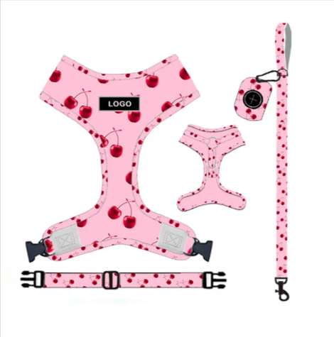 Dog Leash & Harness Set