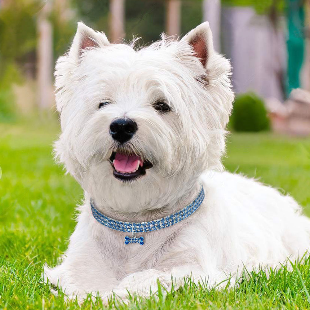 Dog Lover Pendant Necklace