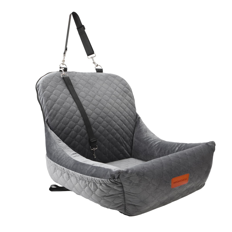Dog Beds & Comfort