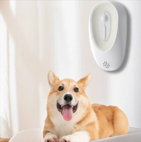 Dog Kennel & Crate Odor Eliminator