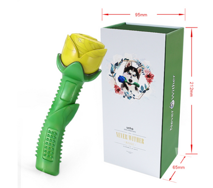 Dog Teether Toy