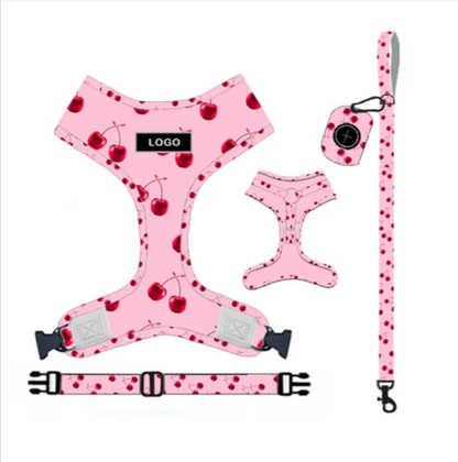 Dog Leash & Harness Set