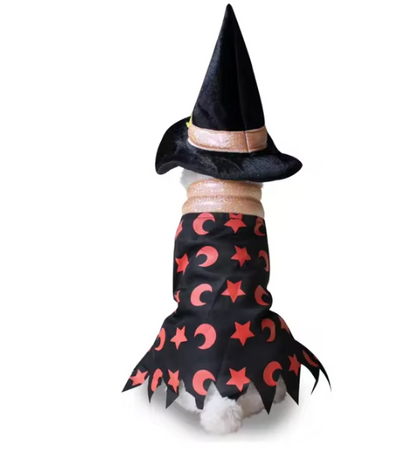 Cute Dog Costume